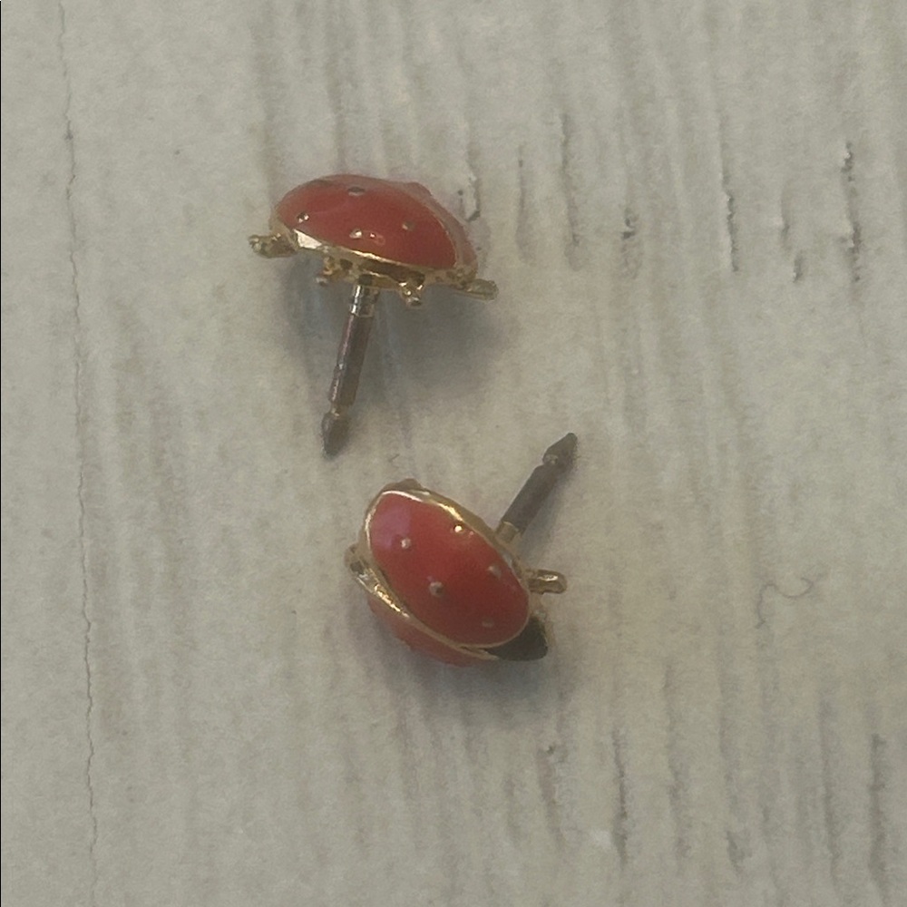 Ladybug pins/earings
kate spade - Picture 3 of 3